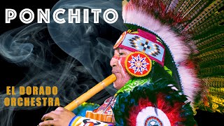 Ponchito  El Dorado Orchestra 🇵🇪🦅Native American indian instrumental music [upl. by Mount]