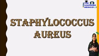 Staphylococcus aureus easy explanation in hindi morphology culture media pathogenicity Lab dign [upl. by Odlaumor]