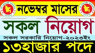 ১৩হাজার পদে নভেম্বর মাসের সকল সরকারি নিয়োগ 2023সরকারি চাকরির নিয়োগgovernment jobSR Job Life [upl. by Wilburt394]