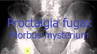 Proctalgia Fugax [upl. by Ellerahc]