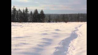 Promenade en hautes fagnes [upl. by Berneta]