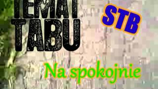 Temat Tabu  Na spokojnie  Chillout Rap [upl. by Hansen]