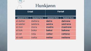 Substantiv uregelrett bøying norwegian basic learner [upl. by Eellah232]