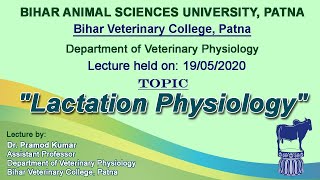 quotLactation Physiologyquot by Dr Pramod Kumar Dept of Physiology [upl. by Anomor]