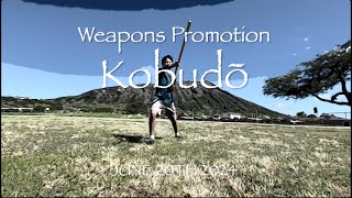 Kobudo Karate Weapons Training amp Promotion [upl. by Mcgraw396]