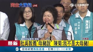 我是台灣人的女兒不是大母豬！ 陳菊哽咽談吳敦義霸凌 呼籲高雄市民站出來｜【Fighting選戰大擂台】20181118｜三立新聞台 [upl. by Eidassac808]