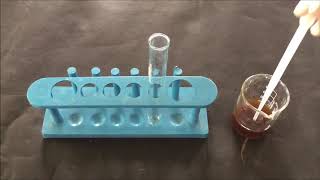 Saponin Foam Test  Chemical Identification By Saponin Foam Method  Saponin Test  सैपोनिन टेस्ट [upl. by Anatolio]