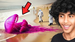 CRAZIEST Things Caught on Video [upl. by Jorge611]