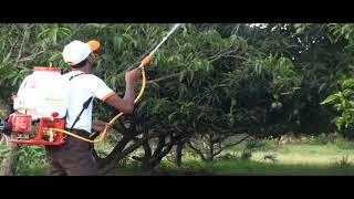 MAAX Knapsack Power Sprayer for high trees [upl. by Nidnarb]