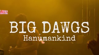 Big Dawgs  Hanumankind  Live performance at Sunburn Union [upl. by Sukramal948]