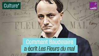 Comment Charles Baudelaire a écrit quotLes Fleurs du Malquot [upl. by Teferi666]