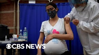 CDC says COVID19 vaccines are safe for pregnant women [upl. by Aicina]