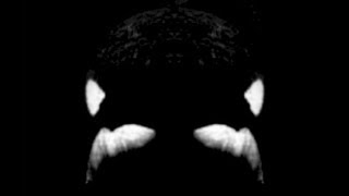 Archive Tilikum Splash Segment from 1994 [upl. by Akeinahs]