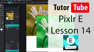 Pixlr E Tutorial  Lesson 14  Marquee Select [upl. by Yvad]