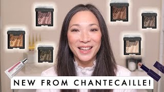 CHANTECAILLE  Fall 2019 Collection [upl. by Itoc]