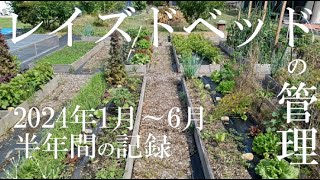 畑シリーズ ［レイズドベッドの管理 2024年1月～6月］ Garden Series［Raisedbed management JANJUN 2024］ [upl. by Antonino]