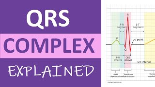 QRS Complex ECG Interpretation amp Measurement Explained  ECG Nursing ACLS NCLEX [upl. by Dallman]