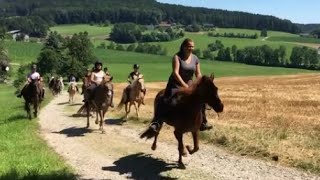 Reiten beim Pferdehof Koaser Minerl [upl. by Ahsinyd215]