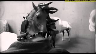 Breyer horse music video hall of fame [upl. by Nairde]