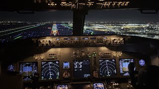 B737 Cockpit Landing in Amsterdam  iPhone 15 Pro Max 4K 60fps [upl. by Eislel]