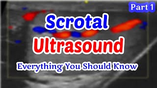 Scrotal Ultrasound Everything You Should Know part 1 [upl. by Nassir]