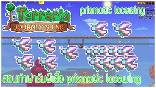 Terraria สอนสร้างฟาร์ม Prismatic Lacewing [upl. by Firman732]