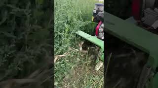 diesel fourwheel driveviralvideo grasscutting decoration tools foryou [upl. by Savell185]