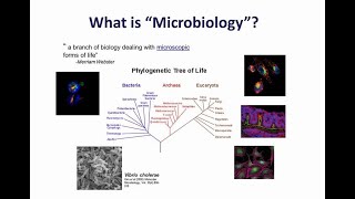 Flow cytometry in microbiological research [upl. by Atsirt]