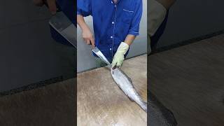 Expert in sharpening knives and cutting trout [upl. by Elimaj]