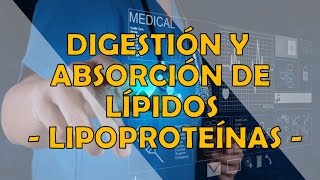 DIGESTIÓN Y ABSORCIÓN DE LÍPIDOS  LIPOPROTEINAS [upl. by Ehling656]