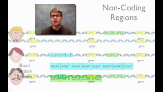 DNA Fingerprinting [upl. by Eyma]