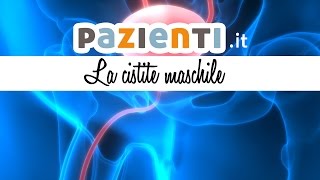 Che cosè la cistite maschile [upl. by Yhtrod]