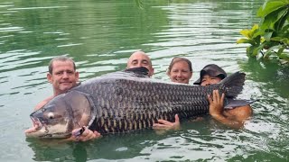 Gillhams Fishery Thailand  4 days in paradise I LANDED THE HUGE ALI HAMIDI ESCAPEE SIAMESE CARP [upl. by Hteazile]