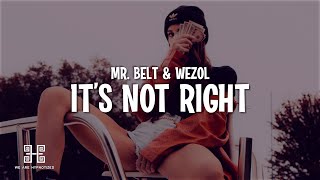 Mr Belt amp Wezol  It’s Not Right But It’s Ok Lyrics [upl. by Retepnhoj133]