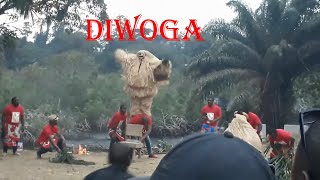 Tradition gabonaise  Diwoga quotla relèvequot [upl. by Yttel]