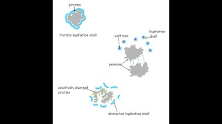 Lecture 2 Sample preparation and derivatization [upl. by Enogitna]