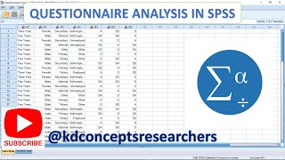 Questionnaire Analysis in SPSS [upl. by Jaan379]