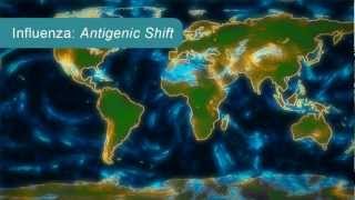 How Influenza Pandemics Occur [upl. by Uokes]