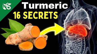 16 Top Secret Health Benefits of Turmeric [upl. by Naawaj]