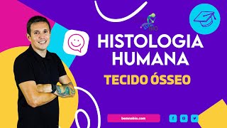 Histologia Humana  Tecido Ósseo [upl. by Lepp557]