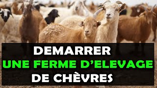 Voici 8 Etapes pour commencer une ferme délevage de chèvre à succès en Afrique [upl. by Marshall]