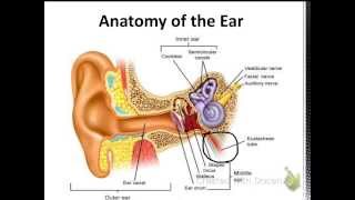 Mastoiditis  A Thorough Review [upl. by Ailak342]