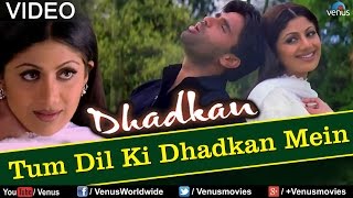 Tum Dil Ki Dhadkan Mein  Duet Dhadkan [upl. by Trefler]