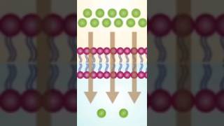 Which best describes the difference between osmosis and diffusion [upl. by Noyes463]