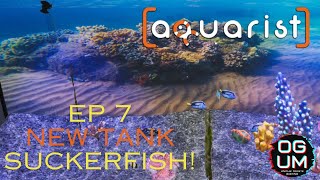 Aquarist Ep 7 Suckerfish [upl. by Jary]