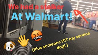 HE HIT MY SERVICE DOG  being stalked in WALMART Service dog harassment [upl. by Llesram]