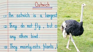 10 lines on ostrich in Englishostrich essay in english Short essay on ostrichostrich [upl. by Yenruoj]