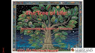 Lecture 8 The Tree of Life Reconstructing the Pattern of Evolution [upl. by Servais]