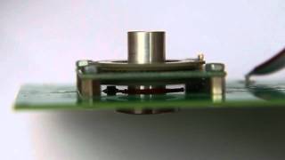 Hollow Shaft Piezo Motor 10 mm shaft 30 mm rotor [upl. by Gilford]