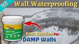 DrFixit Sureseal  How To Repair Dampness Wall  Wall Waterproofing Solution  Damp Wall treatment [upl. by Story376]